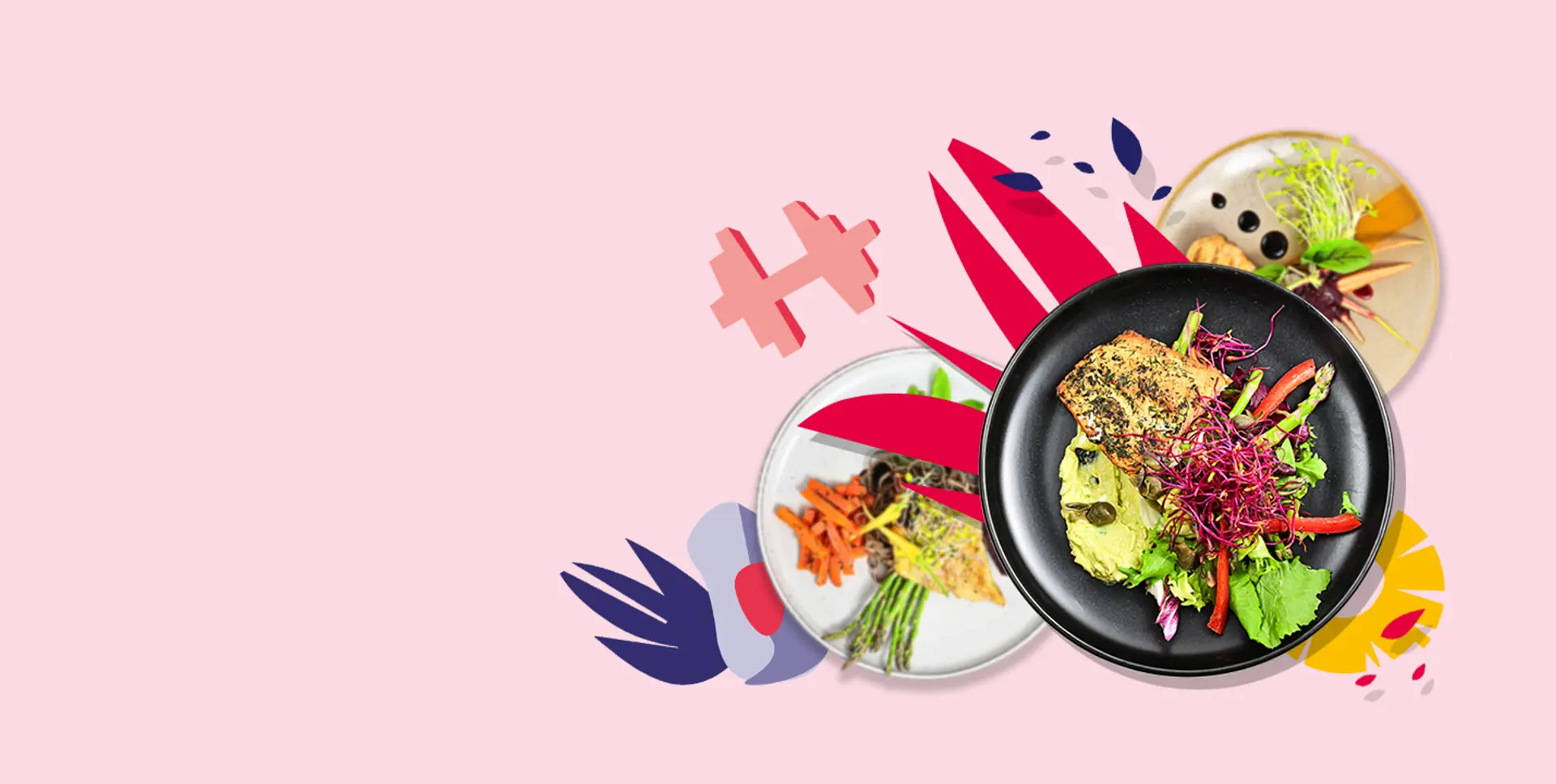 Gotowe programy dietetyczne